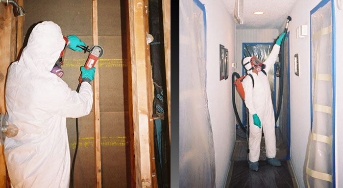 mold-remediation-service